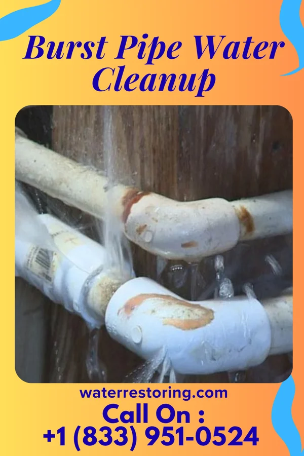 Burst Pipe Water Cleanup in Taylor, PA