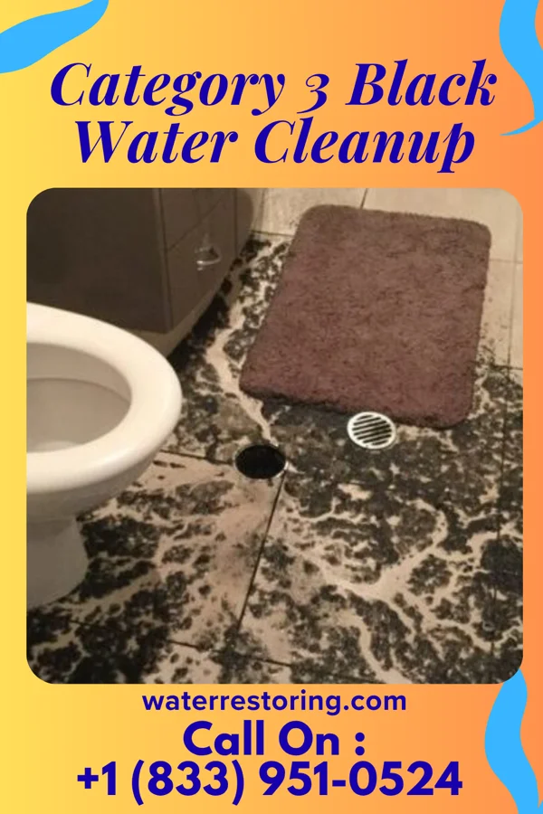 Category 3 Black Water Cleanup in Taylor, PA