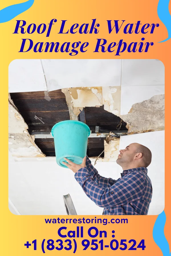 Roof Leak Water Damage Repair in Taylor, PA