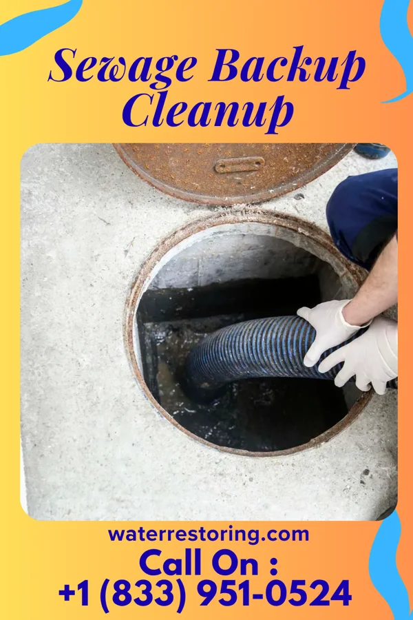Sewage Backup Cleanup in Taylor, PA