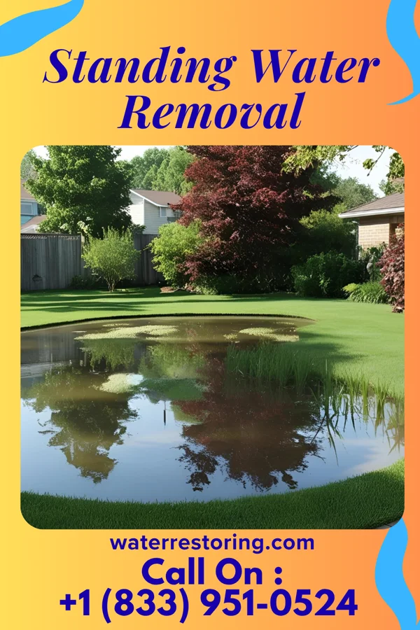 Standing Water Removal in Taylor, PA